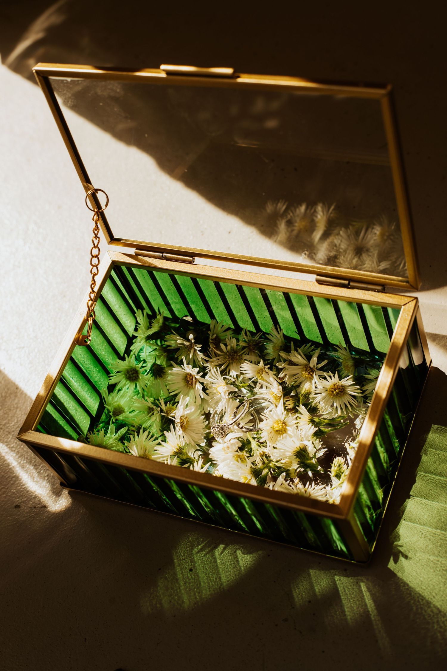 Gold-framed glass jewelry box with green interior filled with white daisy flowers in warm sunlight.