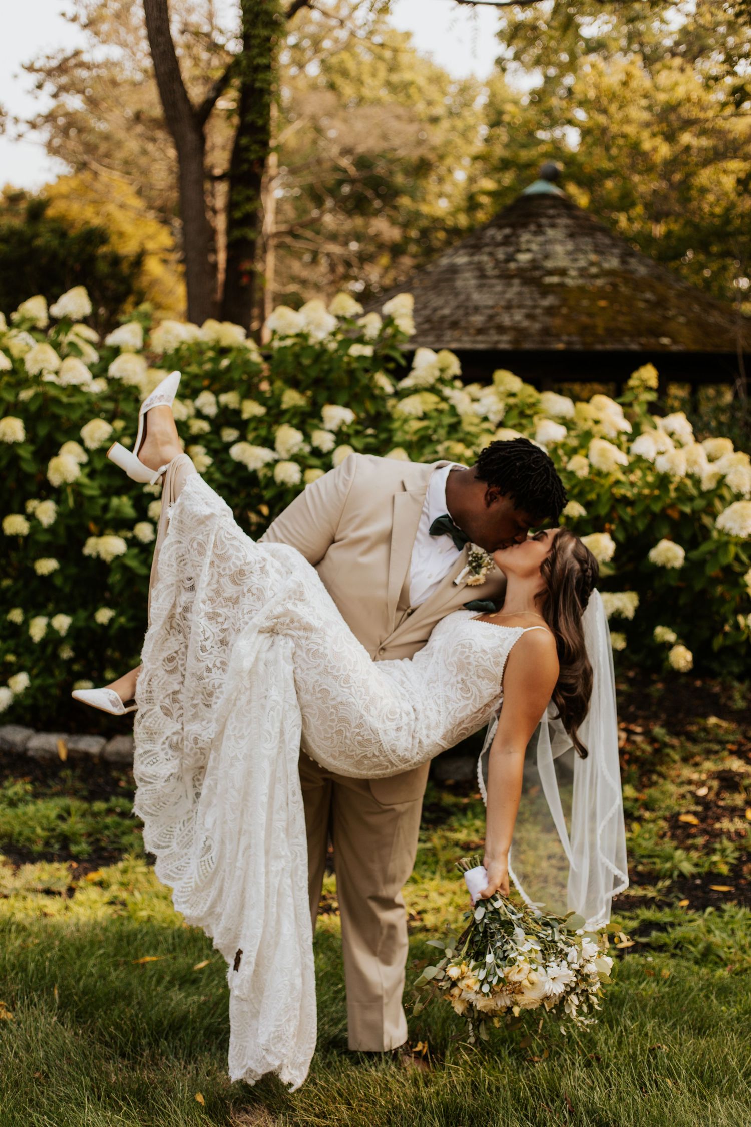 Groom dips and kisses bride in lace gown before blooming white hydrangea bushes outdoors.