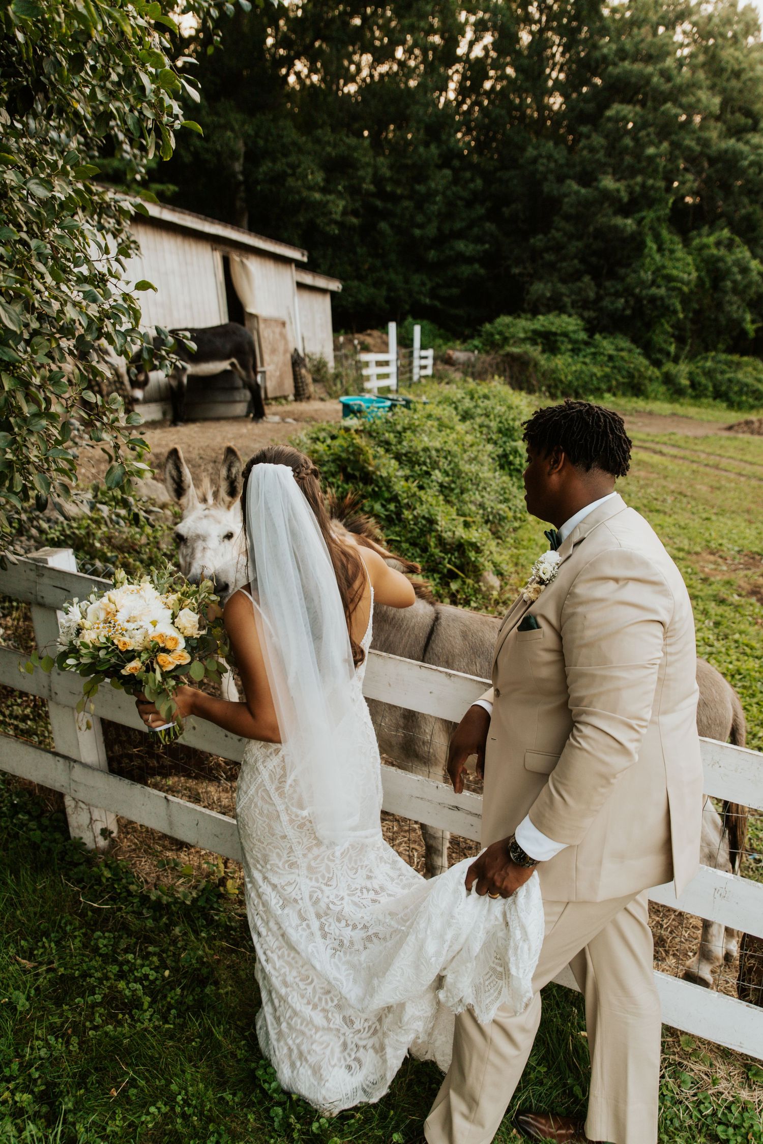 Newlywed couple in wedding attire admiring a donkey over a white fence on a farm.