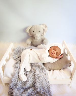 Sleeping newborn in white outfit on plush gray blanket with stuffed elephant toy.