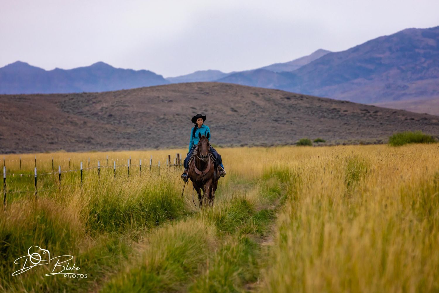 Lone horseback rider traverses grassy trail with mountains in background.