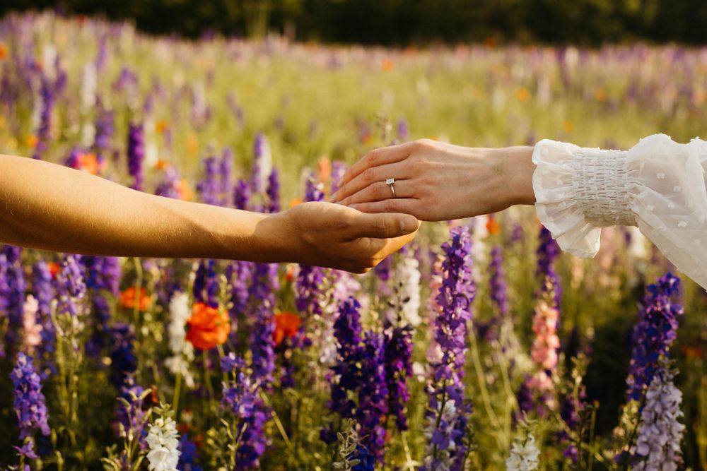Couple holding hands in a field of vibrant purple delphiniums.