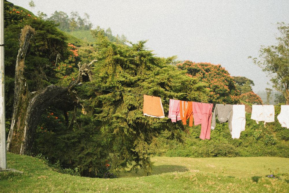 Colorful laundry hanging on a clothesline against lush green trees.