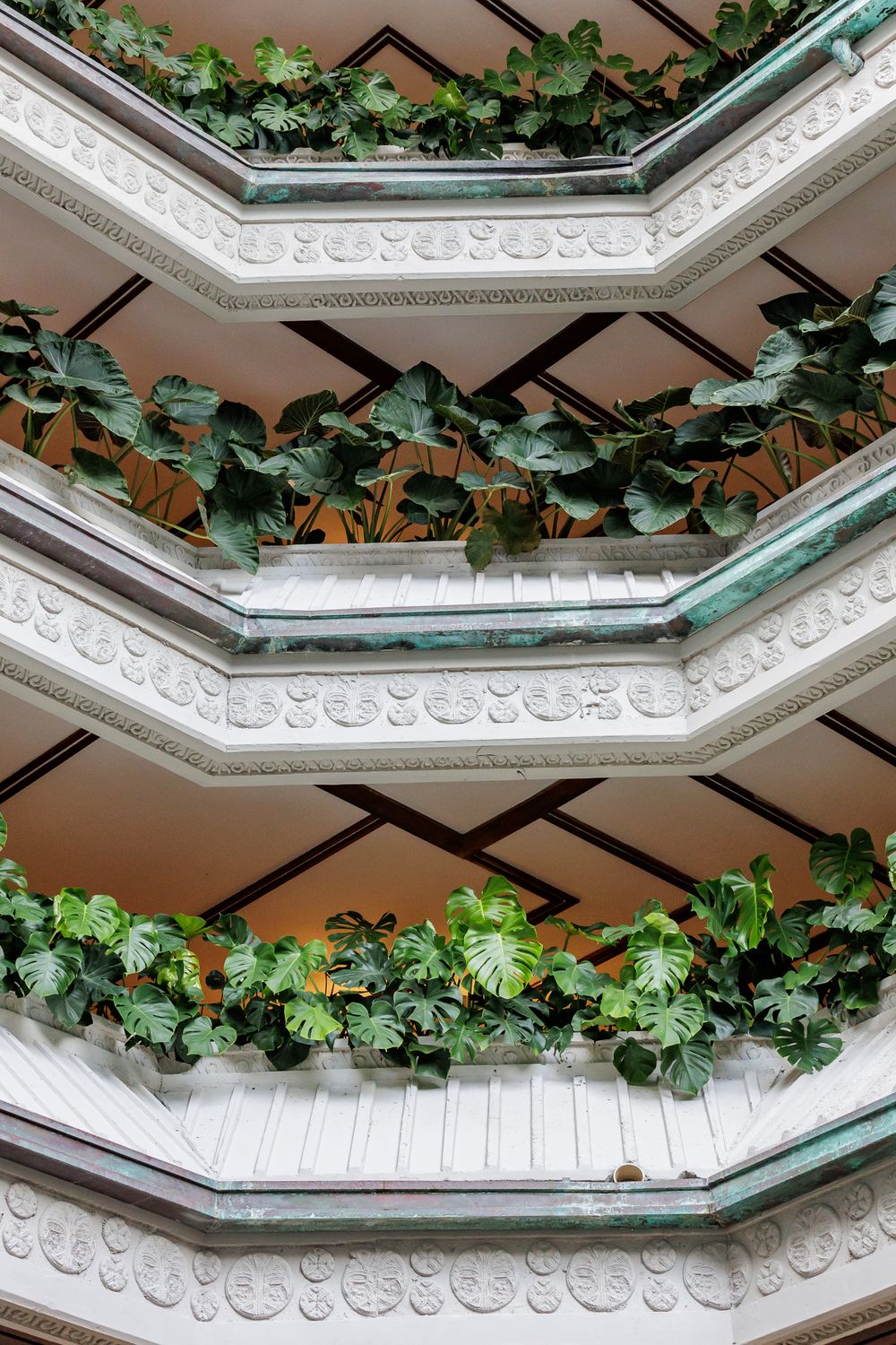Ornate architectural detail of white crown molding and green vines cascading along multiple levels.
