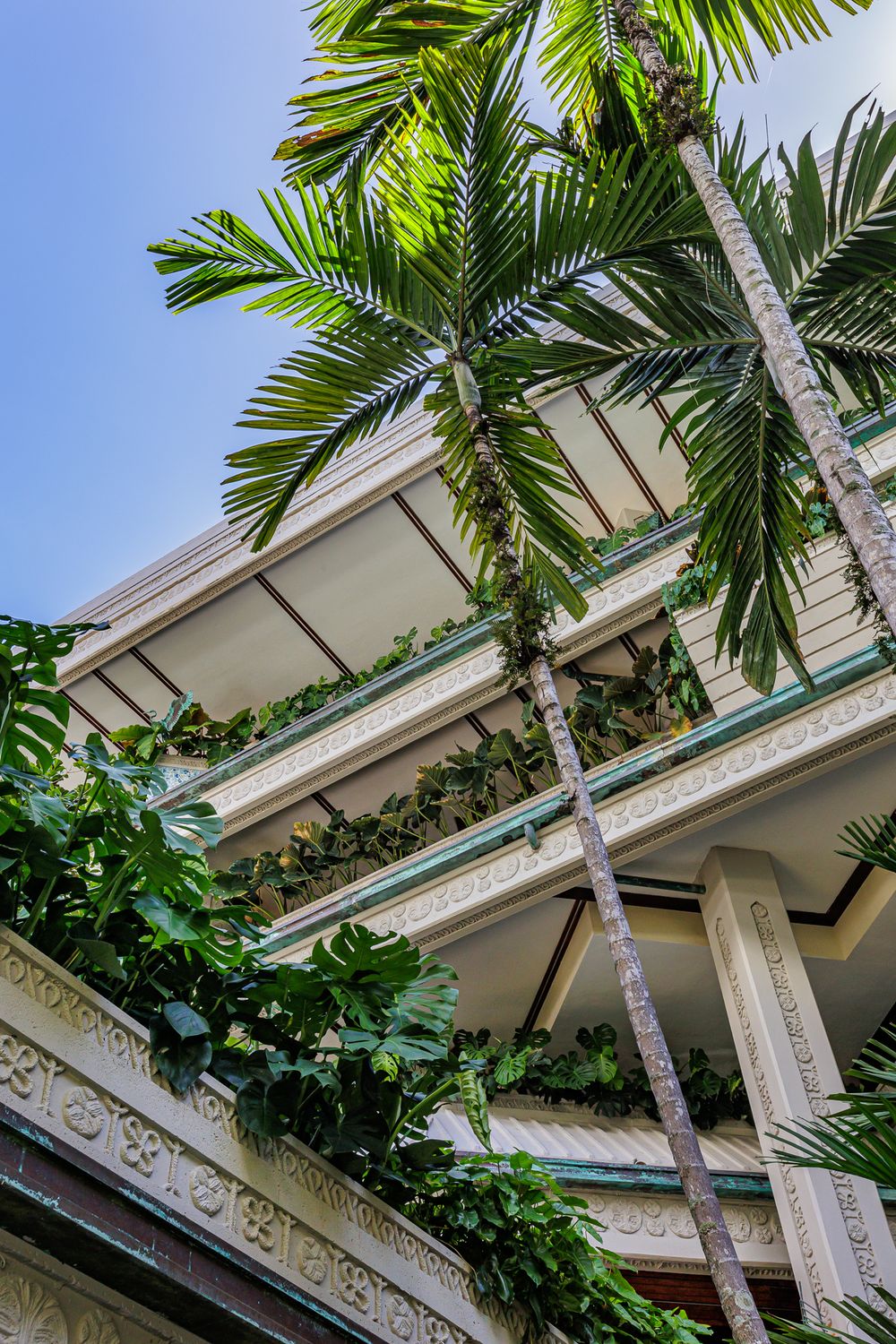 Towering palm trees and climbing vines accent white architectural details against blue sky.