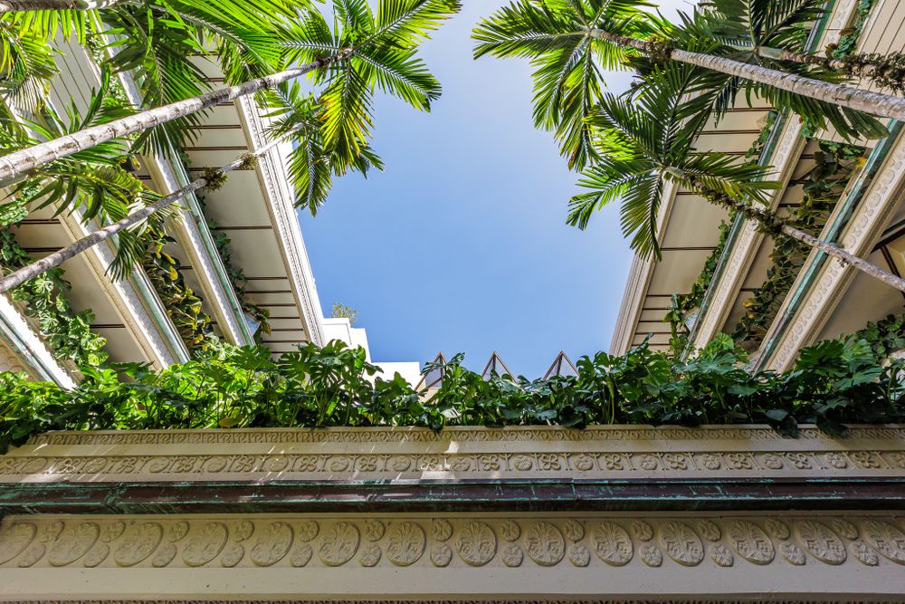 Looking up at palm trees and tropical plants against blue sky through architectural framework.