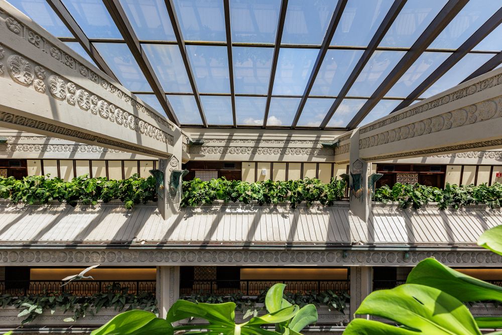 Glass ceiling with ornate white architectural details and hanging plants creates dramatic natural lighting.