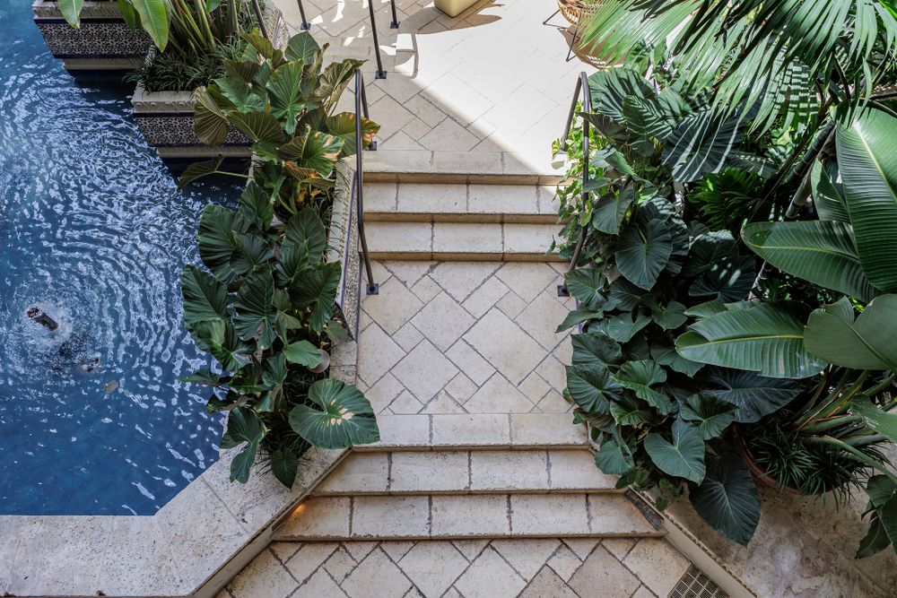Stone pathway bordered by tropical plants leads to a blue swimming pool in a luxurious courtyard.
