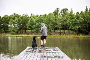 View from behind of someone fishing on wooden pier over tranquil lake surrounded by trees.