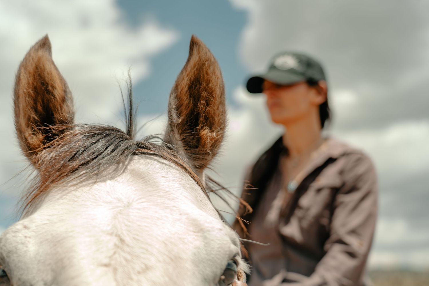 Close-up view of a horse's ears with a rider visible in the background against cloudy sky.