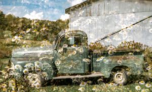 A row of abandoned vintage military tanks and vehicles rusting in an overgrown field.