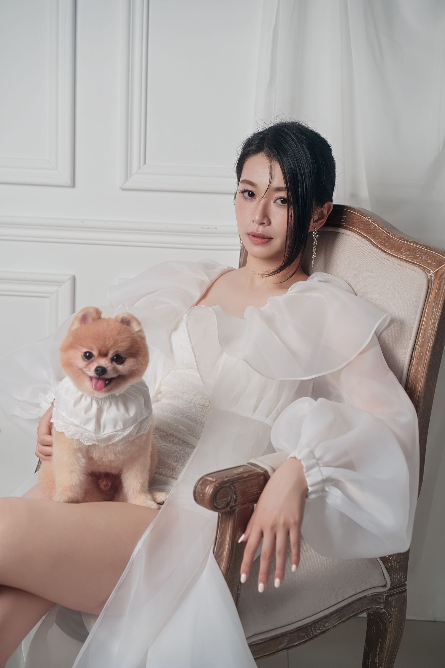 A Pomeranian puppy wearing a white ruffled collar poses on an elegant vintage couch in a light-filled room.