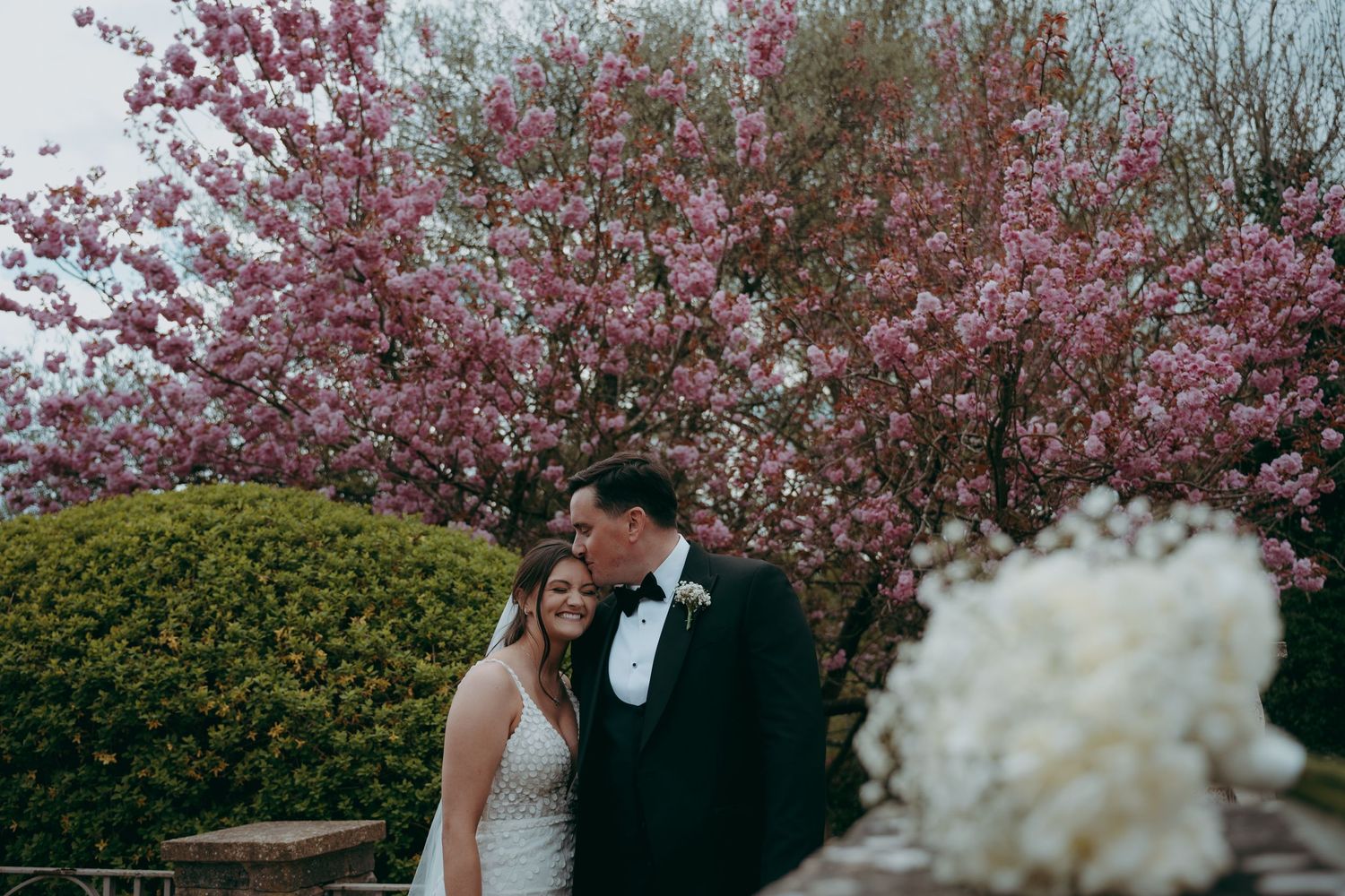 Spring wedding photos under blooming cherry blossom trees with soft pink flowers against a cloudy sky.