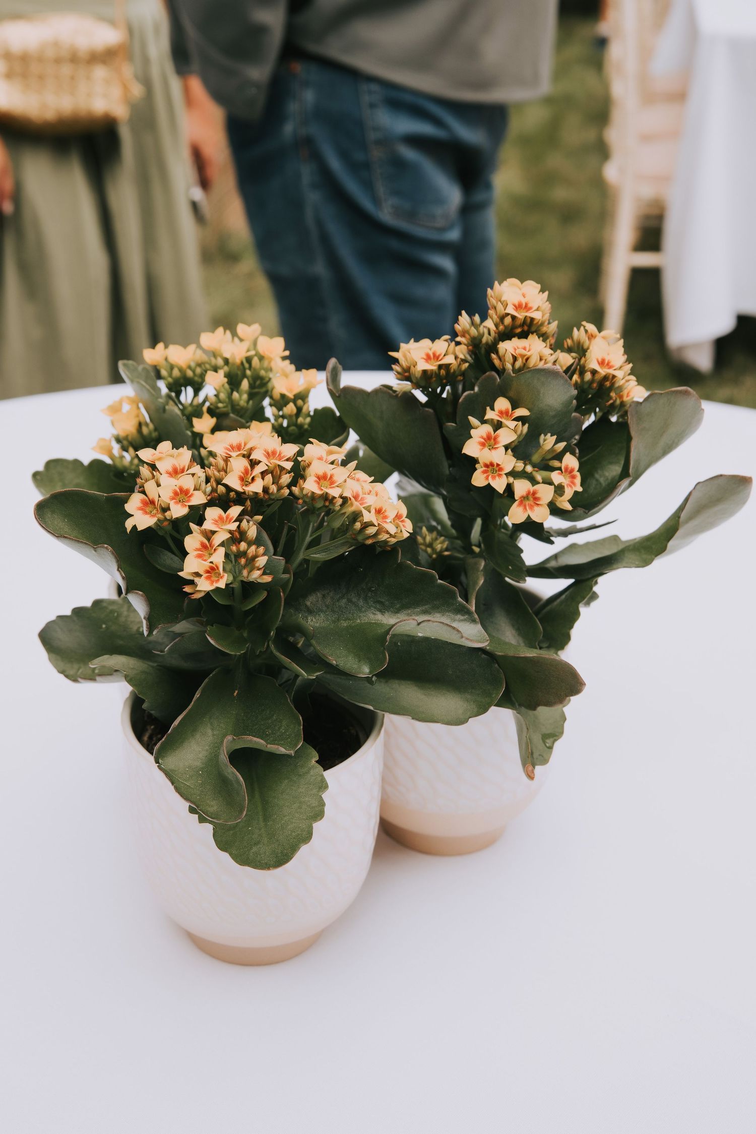 Table setting details during birthday event