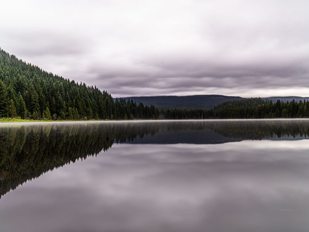Misty lake reflects evergreen forest and moody gray clouds in perfect mirror-like symmetry.