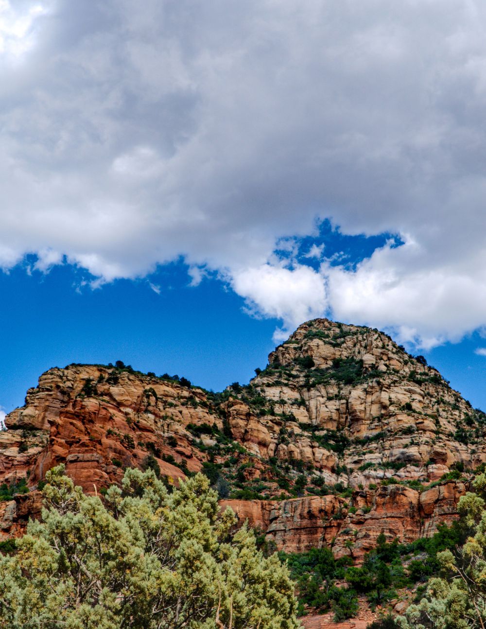 Towering red rock formations rise against a bright blue sky with white clouds in a desert landscape.