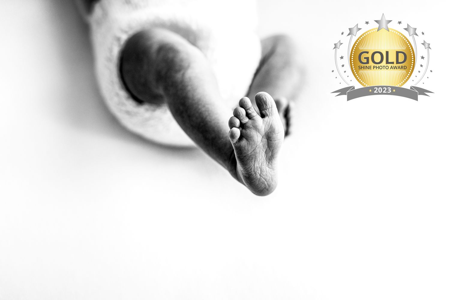 Black and white close-up photograph of a tiny baby foot with gold award seal in the corner.
Rashinphotography-Nova photographer- DMV DC