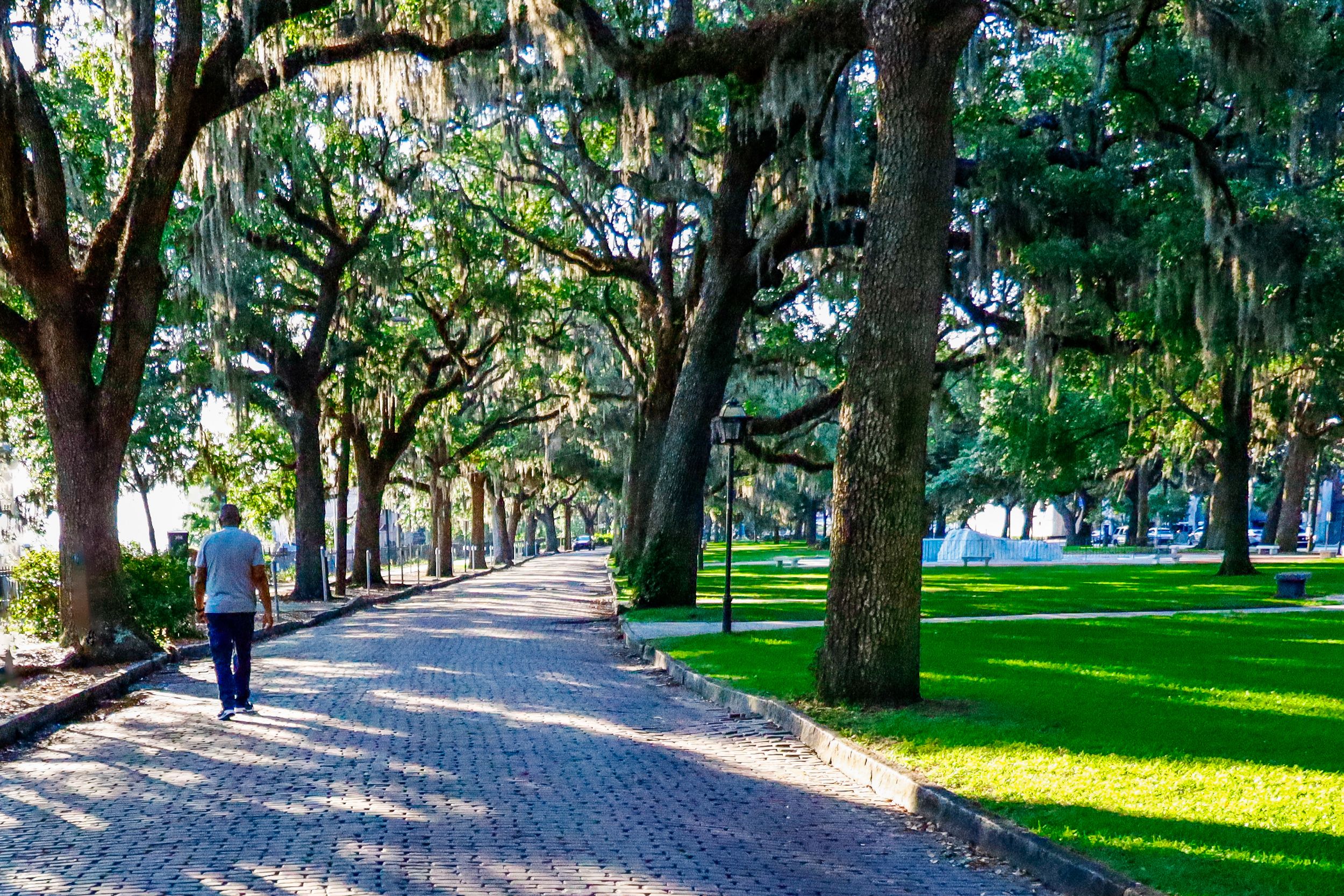 Tree-lined brick pathway with Spanish moss hanging from oak trees in a scenic park setting.