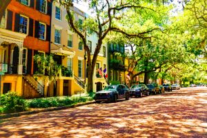 Colorful historic townhouses line a tree-shaded cobblestone street in a charming urban neighborhood.