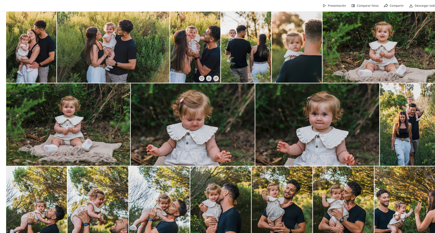 captura de pantalla de cómo se ve una galería en la que se entregan las fotos