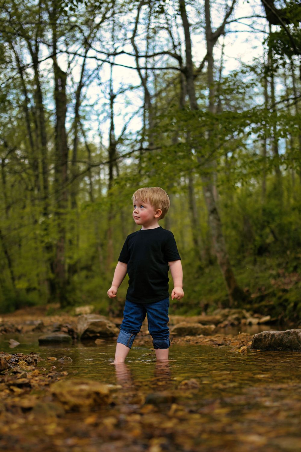Young blonde boy wading in a shallow forest creek wearing a black t-shirt and blue shorts on a spring day.