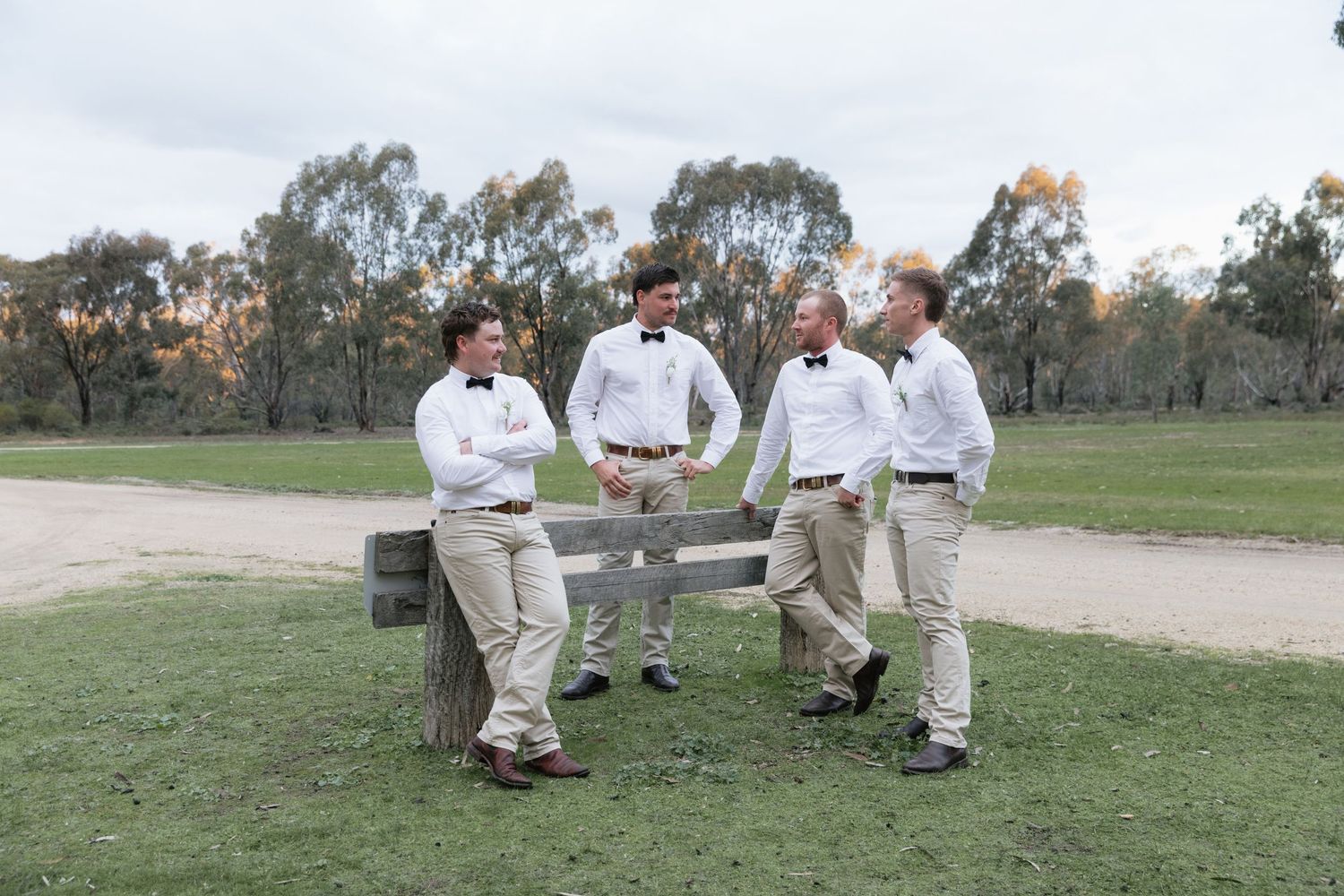 Four groomsmen in white shirts and bow ties laugh together near a wooden bench in an outdoor park setting.