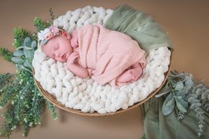 A series of newborn photography props featuring white knit baskets, pink blankets, and green foliage arrangements.