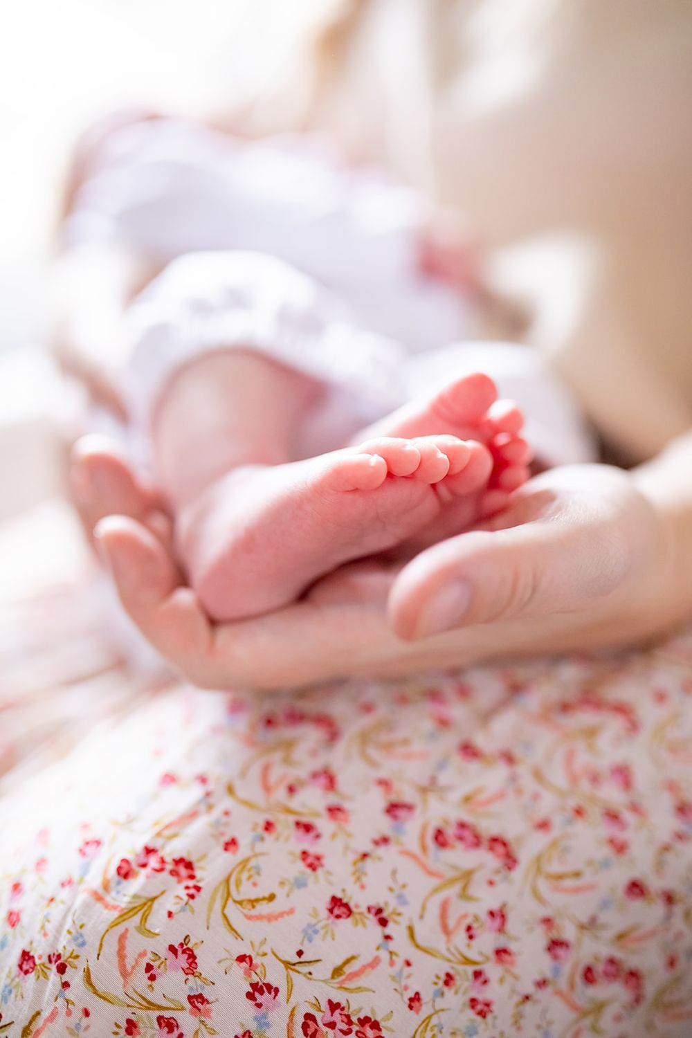 utah family photography newborn