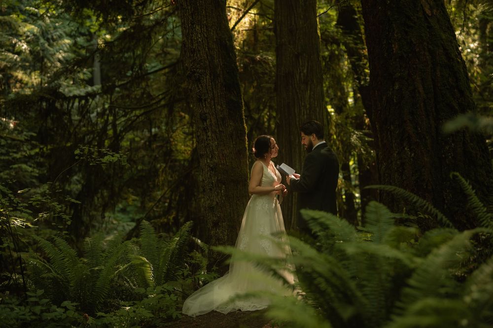 A bride and groom exchange vows in a lush, sunlit forest surrounded by towering trees and ferns.