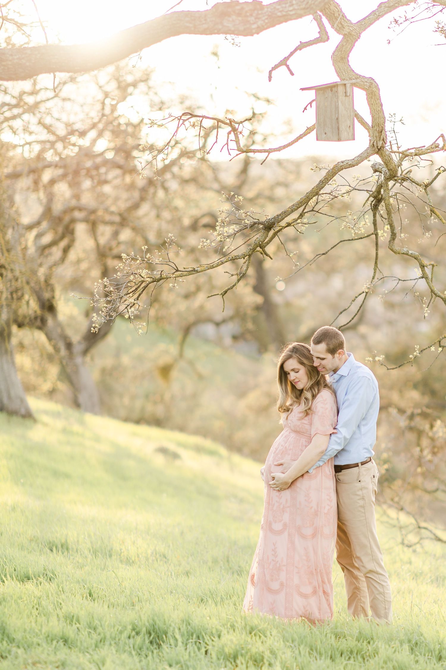 Pregnant woman in pink lace maxi dress cradling baby bump outdoors in sunlit green park during golden hour.