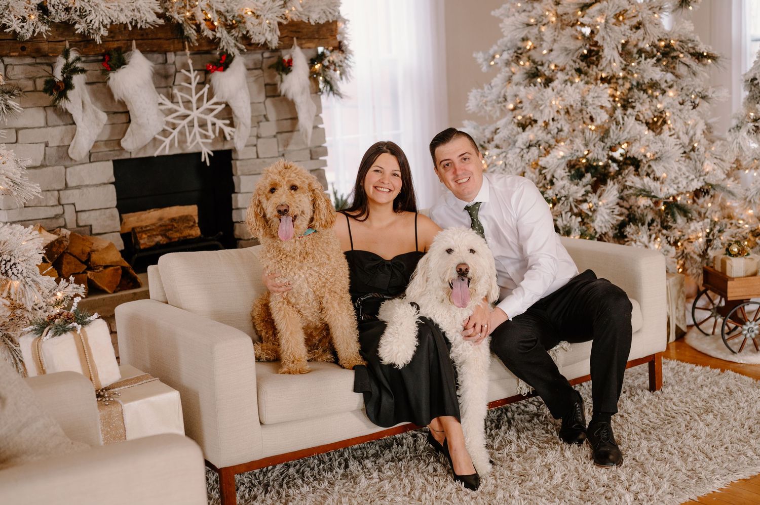 couple with dogs at christmas mini photo session in Cincinnati studio