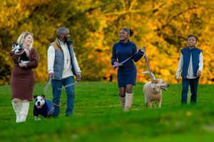 Four people walking dogs on leashes in a lush green park with vibrant autumn foliage in the background.