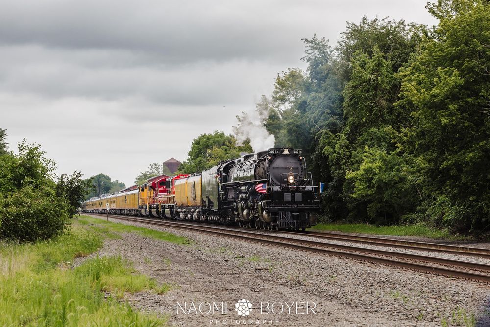 Vintage steam locomotive leads a freight train through lush green countryside under overcast skies.
