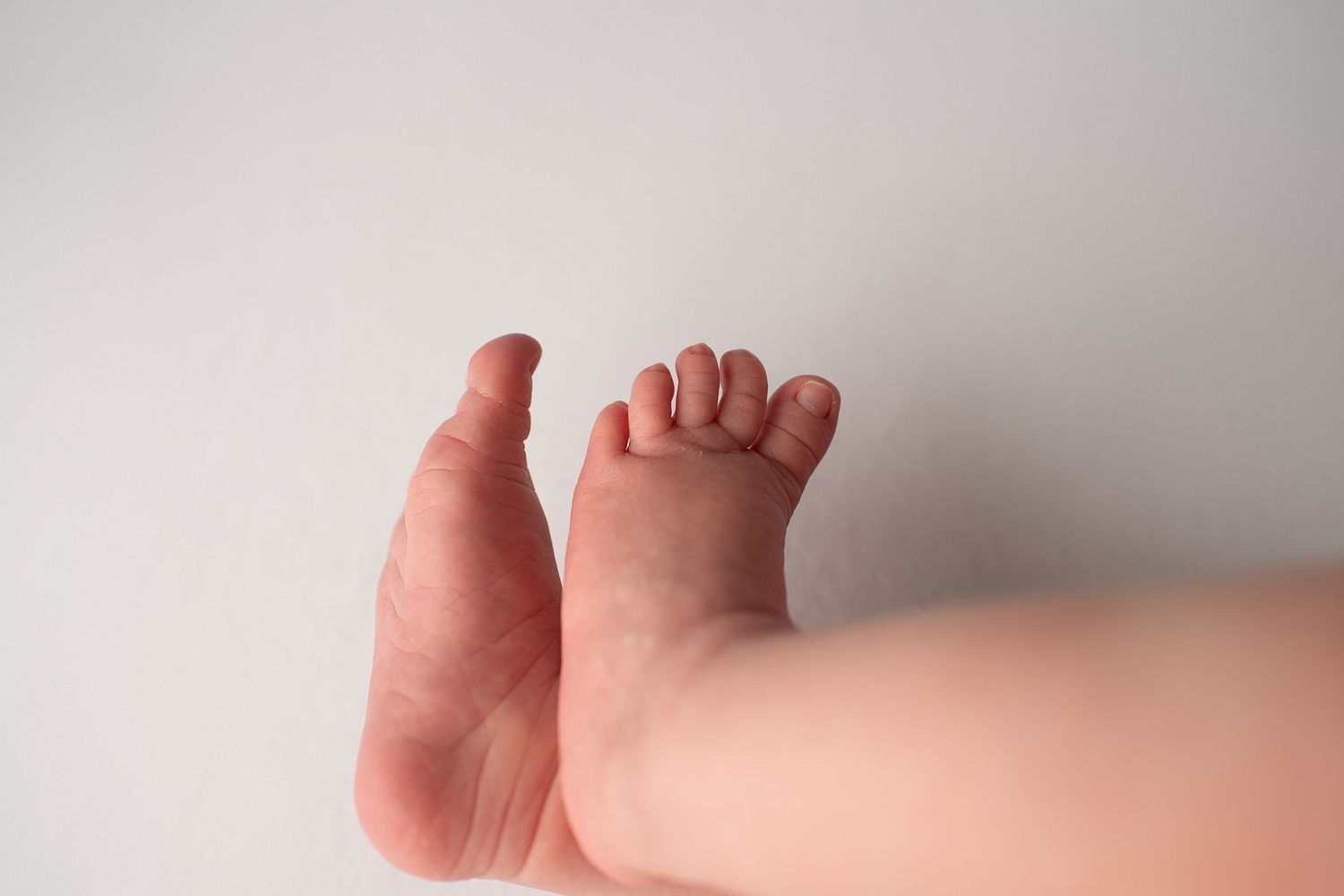 Close-up of newborn baby feet held gently against a white background.