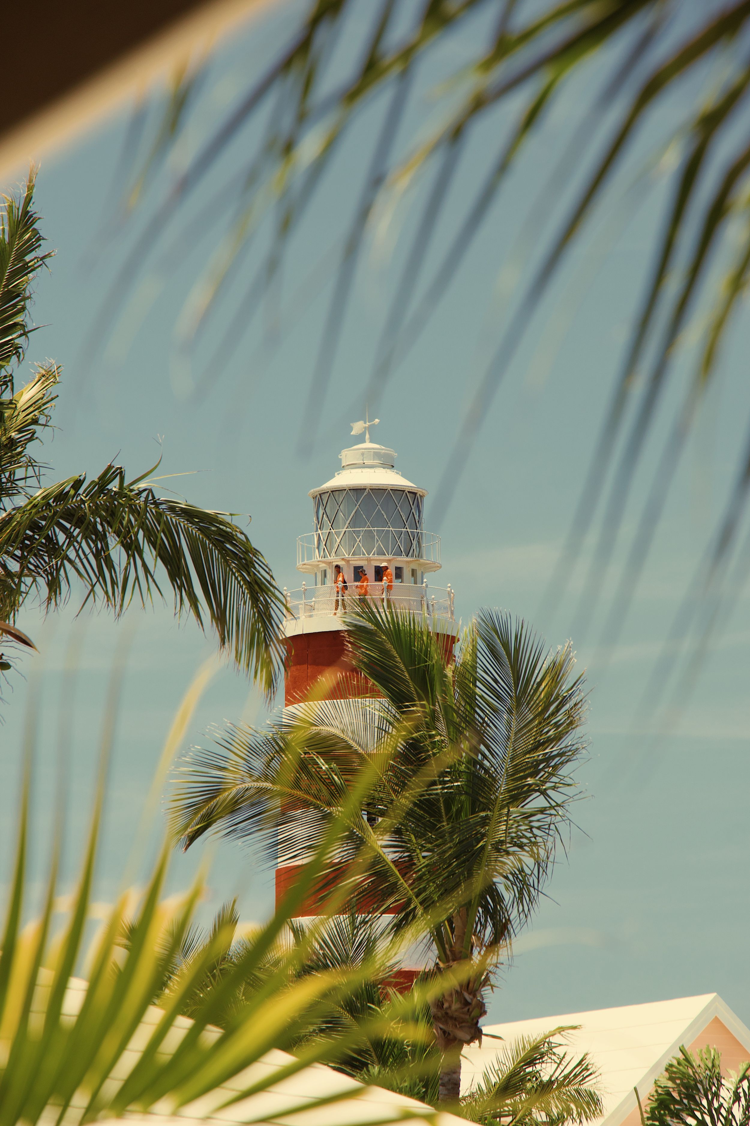 Red and white lighthouse tower framed by palm fronds against blue sky.