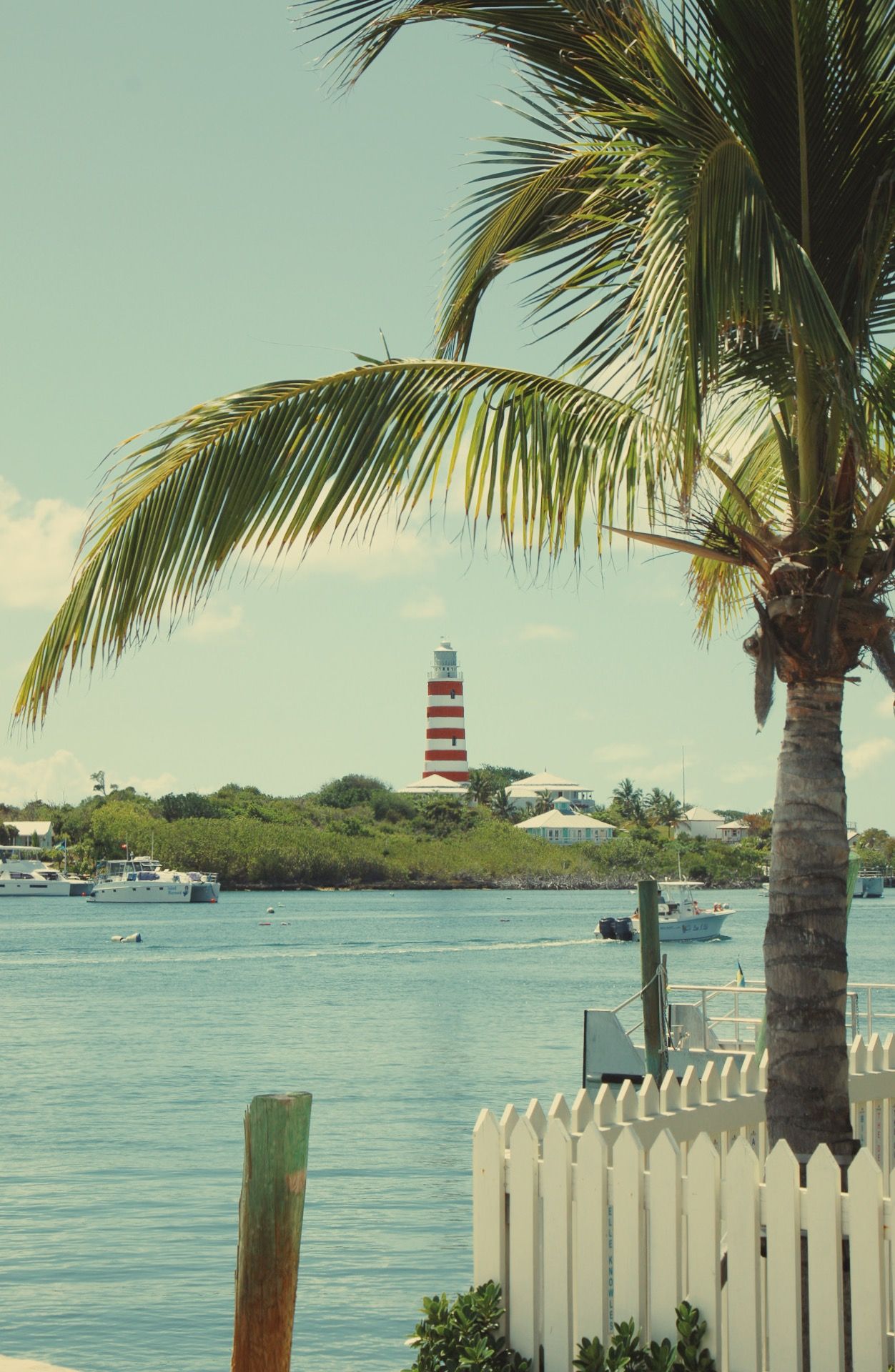 Red and white striped lighthouse visible through palm fronds on tropical waterfront.