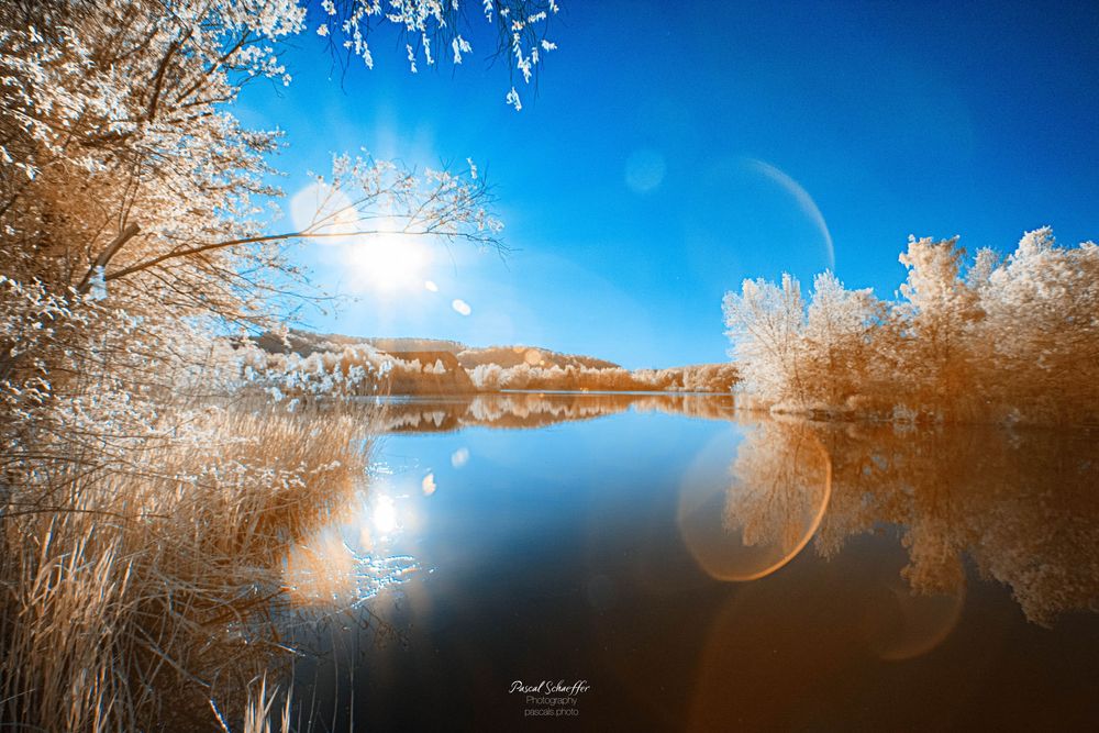 Infrared landscape photo of a serene lake reflecting frost-covered trees under a vivid blue sky with bright sun flare.