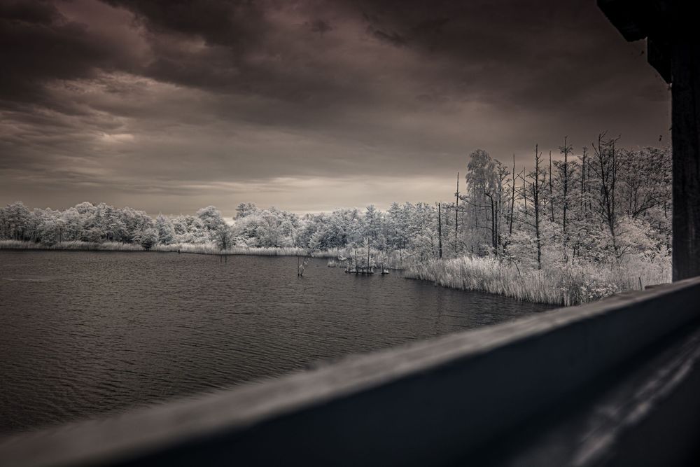 Infrared photo of a serene lake with white trees, dark stormy sky, viewed from a wooden bridge railing.