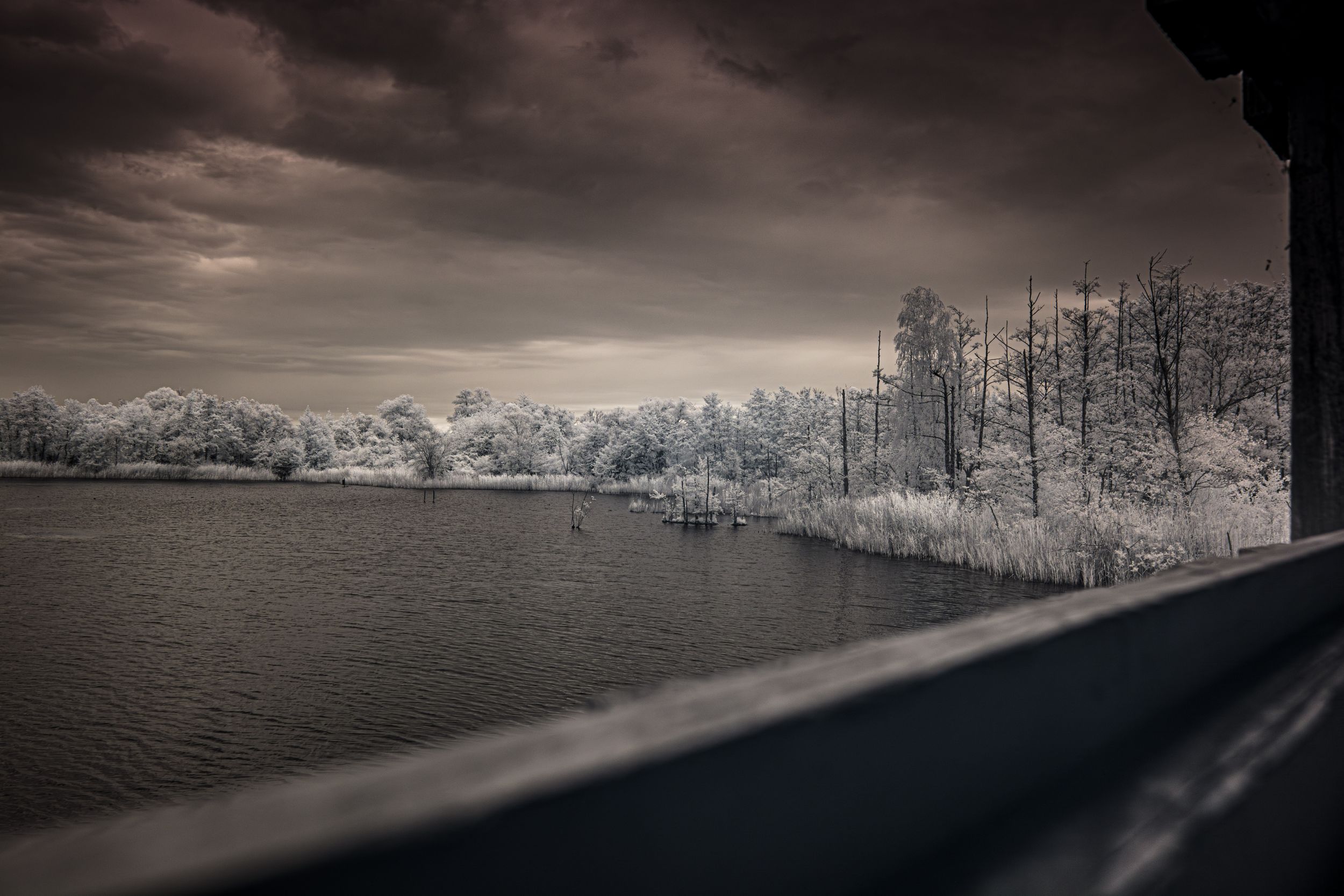 Infrared photo of a serene lake with white trees, dark stormy sky, viewed from a wooden bridge railing.