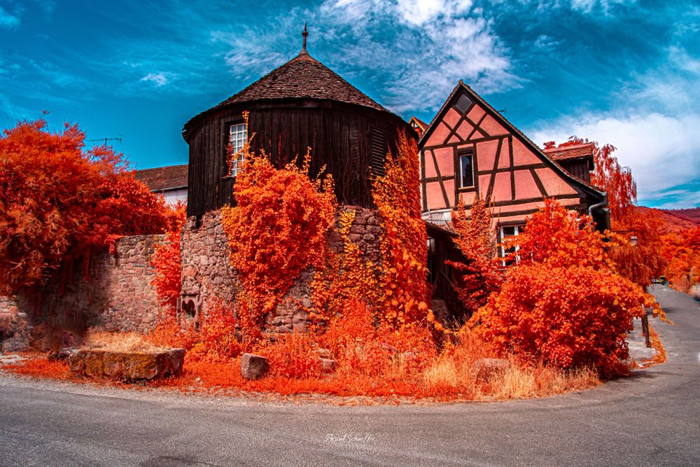 Infrared photo of a historic half-timbered house with vibrant red foliage and a stone tower under a vivid blue sky.