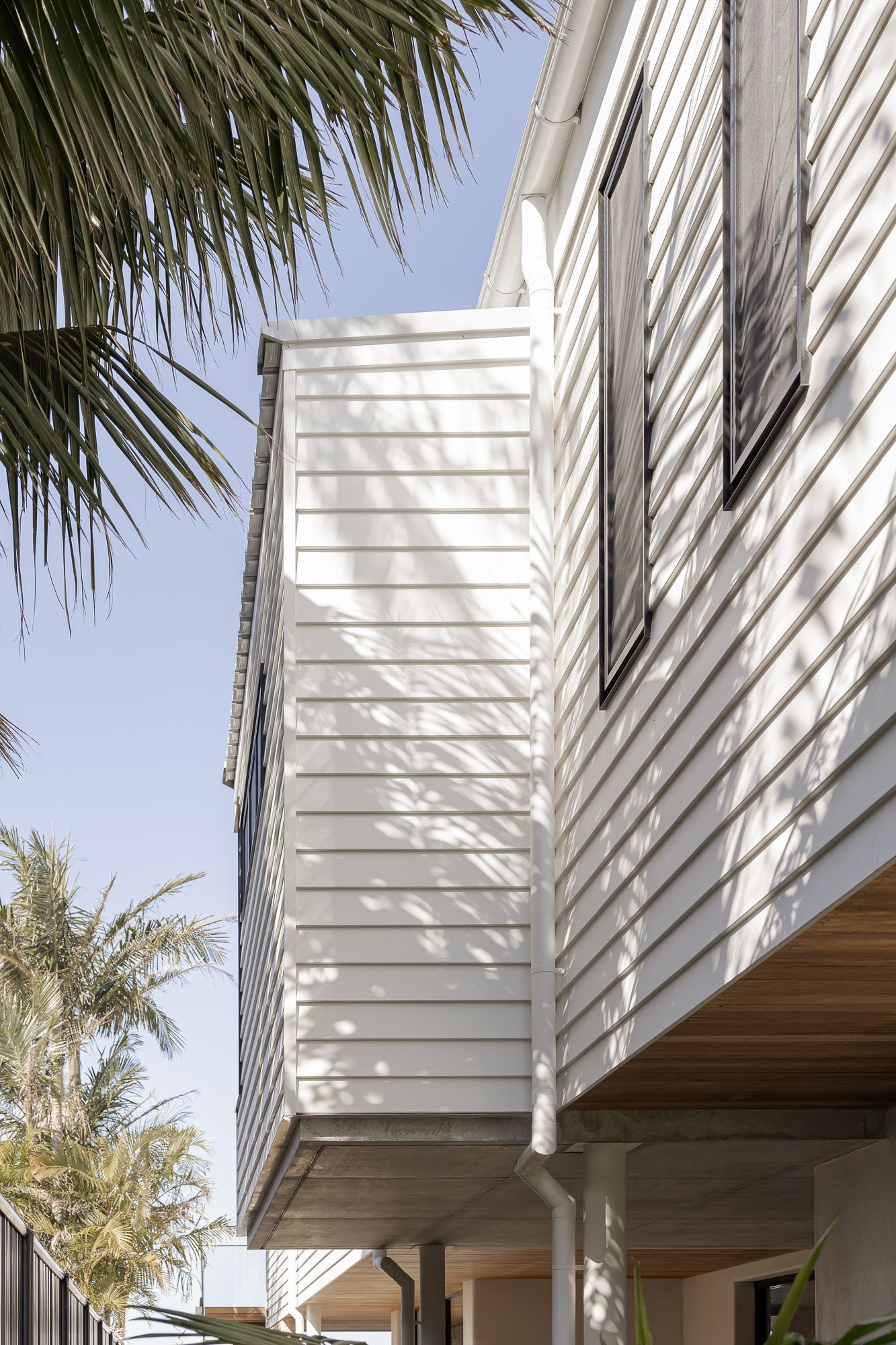 White weatherboard cladding and a palm tree on a new riverside home in Shoalhaven.
