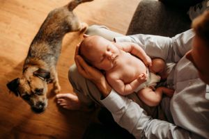 Infant lying on floor beside scruffy brown dog in natural indoor lighting.