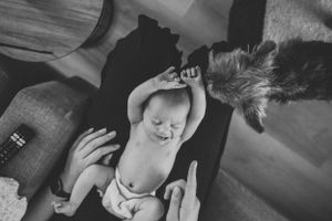 A black and white photo of a stretching baby with pets nearby on a couch.