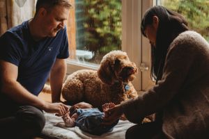Family sits together on floor with their goldendoodle dog in a warmly lit room.