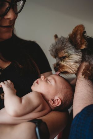 A sleeping newborn baby rests peacefully while a Yorkshire Terrier looks on curiously.
