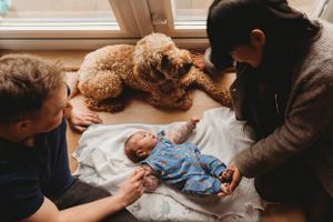 Parents and golden doodle gather around their baby lying on a cushion by window.