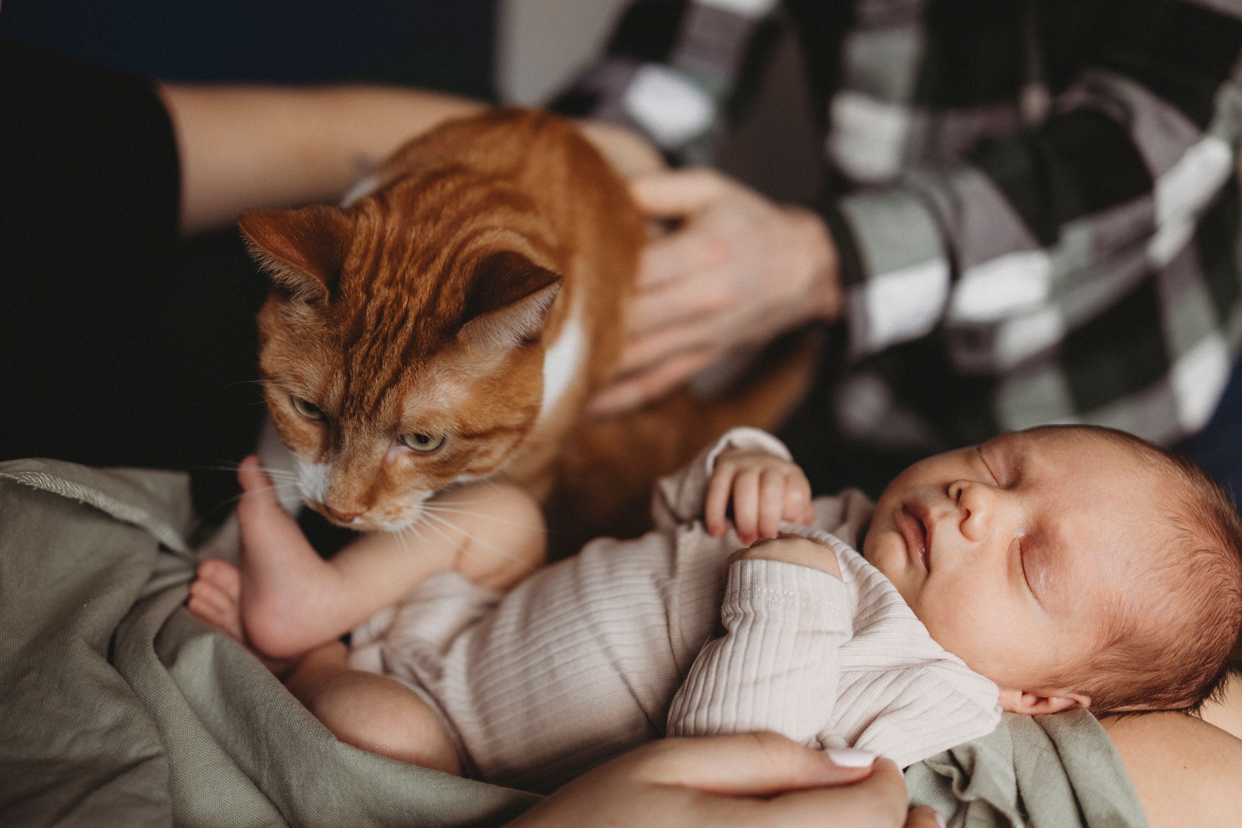 A ginger cat curiously observes a sleeping infant in white clothing.