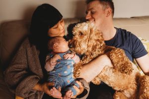 A cozy family moment on the couch with a golden doodle and infant in blue clothing.