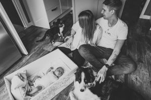 A dog watches attentively as people look at a photo album together on the floor.