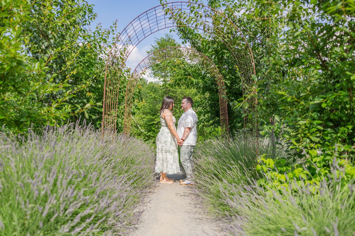 Couple holds hands on a garden path surrounded by lavender under a metal arch with lush green trees in the background.